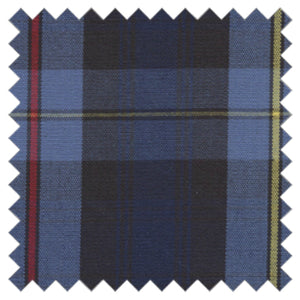 Plaid Tutu Socks