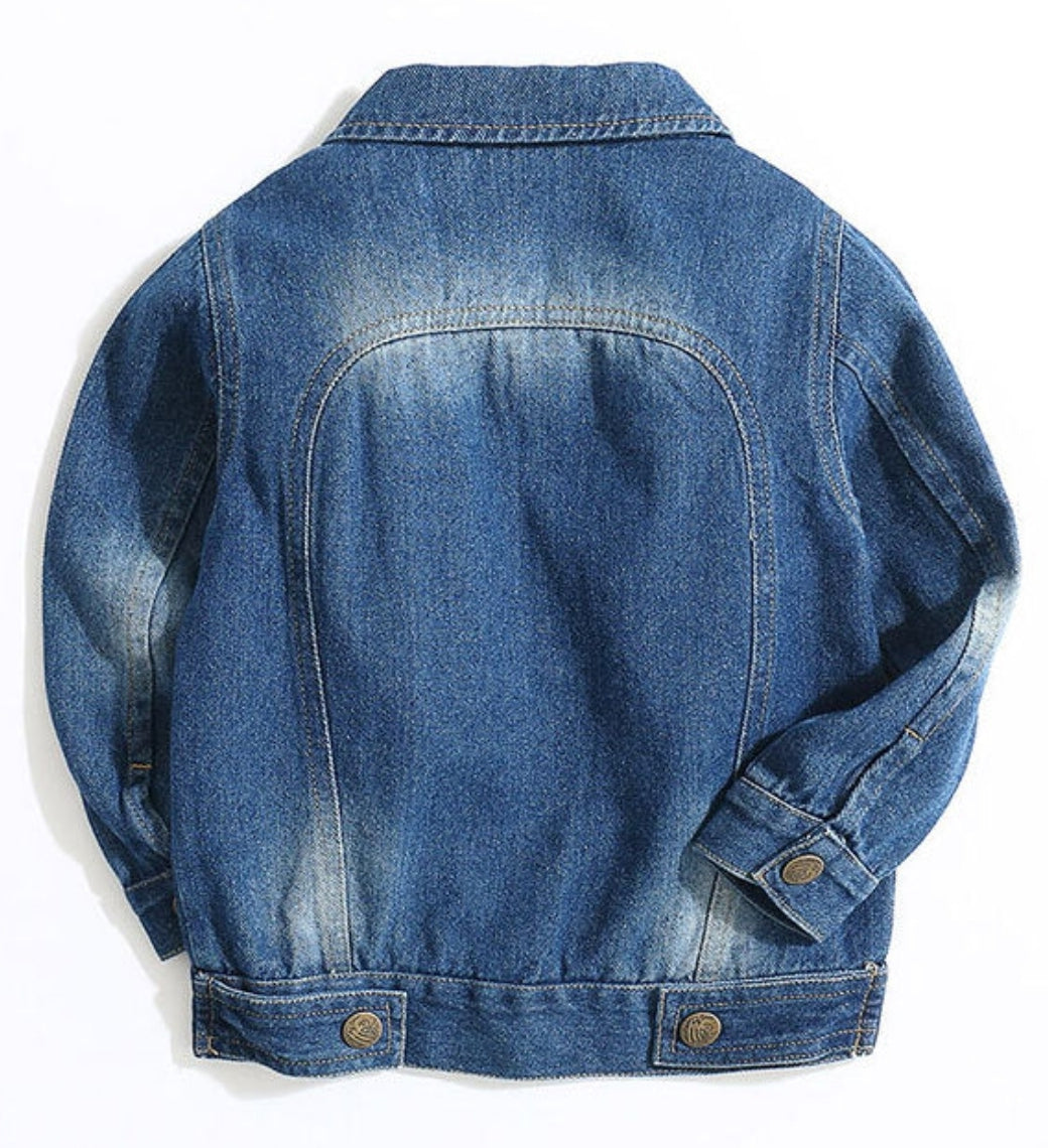 Embroidered Denim Jacket